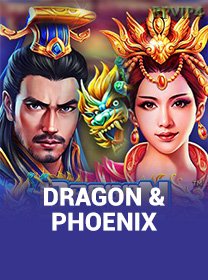 Dragon And Phoenix game cover